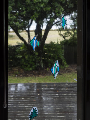 window fishies and rain