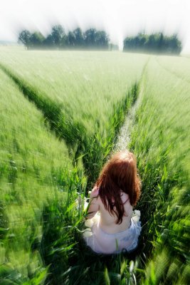 Flore (66).JPG