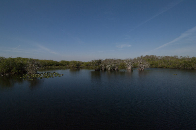 Anhinga Trail