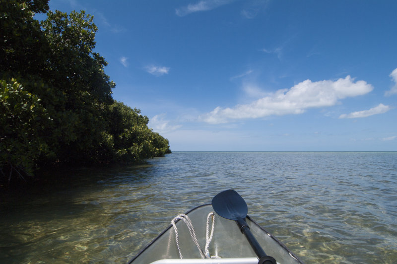 Paddling Key West