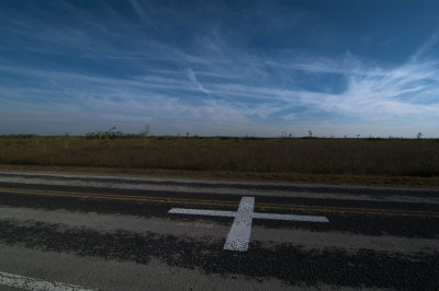 Road in Everglades