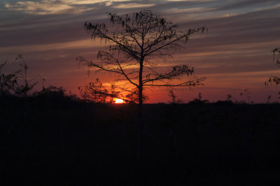 Sunset at Pa-hay-okee, Everglades