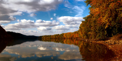 Shick Autumn