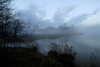 fog4