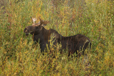 DSC_5410.jpg