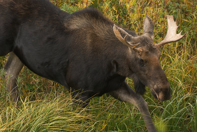 DSC_5441.jpg