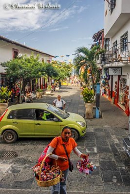 20160216_1247 Puerto Vallarta.jpg