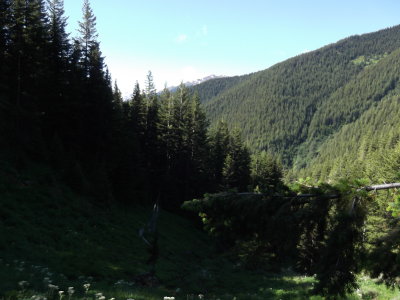 2013 07 10_Hike_0004.JPG