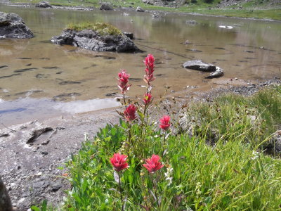 2013 08 03_Hike_0011.JPG