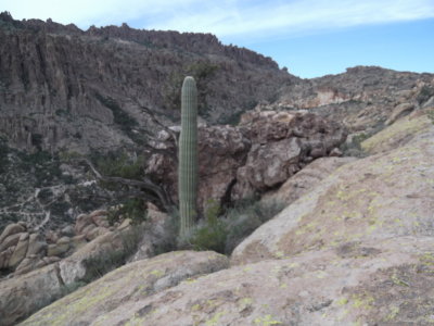 2014 01 09_Hike_0061.JPG