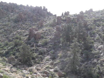 2014 01 30_Hike_0013.JPG