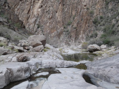 2014 02 06_Hike_0037.JPG