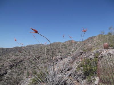 2014 03 07_Hike_0002.JPG