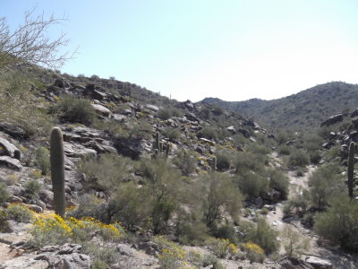 2014 03 07_Hike_0003.JPG
