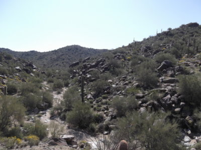2014 03 07_Hike_0004.JPG