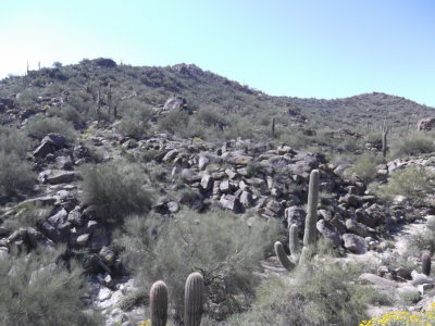 2014 03 07_Hike_0005.JPG