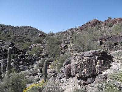 2014 03 07_Hike_0006.JPG
