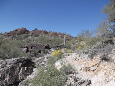 2014 03 07_Hike_0007.JPG