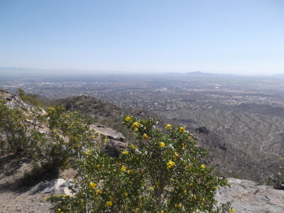 2014 03 07_Hike_0020.JPG
