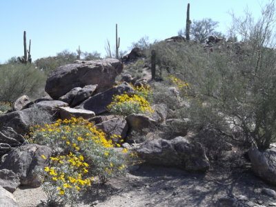 2014 03 07_Hike_0022.JPG