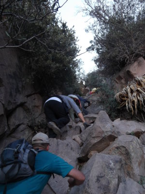 2014 03 10_Hike_0047.JPG