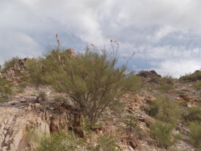 2014 03 14_Hike_0002.JPG