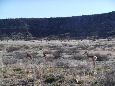 2014 03 19_Hike_0001.JPG