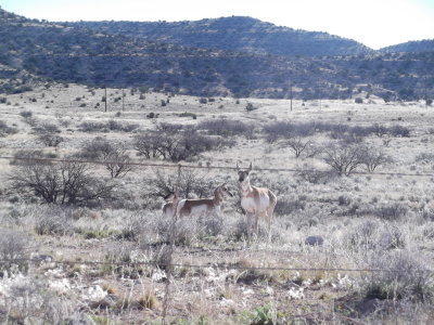 2014 03 19_Hike_0002.JPG