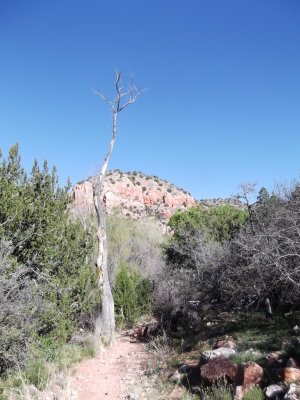 2014 03 19_Hike_0010.JPG