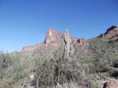 2014 03 24_Hike_0002.JPG