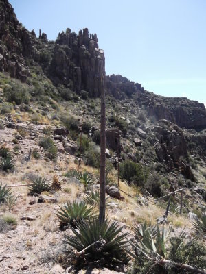 2014 03 24_Hike_0106.JPG