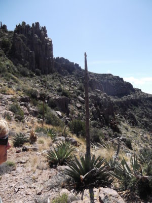 2014 03 24_Hike_0107.JPG