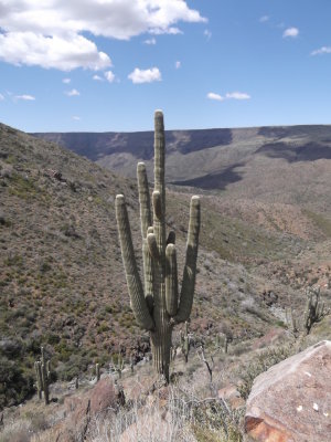 2014 04 03_Hike_0012.JPG