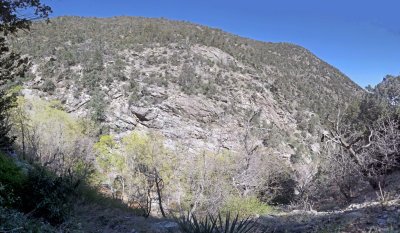 2014 04 07_Hike_0003-0013_stitch.jpg