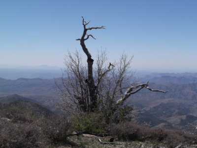 2014 04 07_Hike_0025.JPG