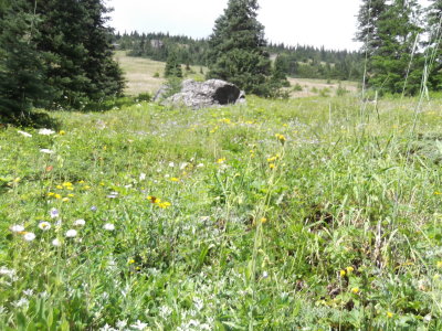2014 07 26_0002.JPG