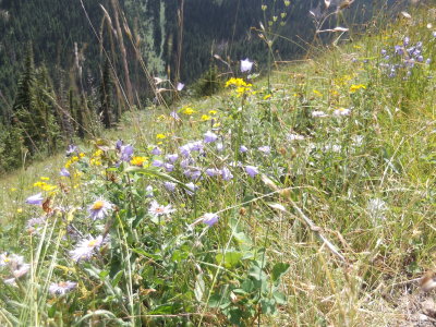 2014 07 26_0005.JPG