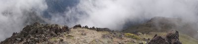 2014 07 26_0049-0052_stitch.jpg