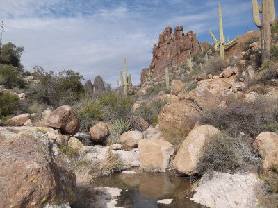 2015 01 08_Hike_0015.JPG