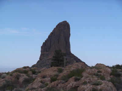 Arizona 2015