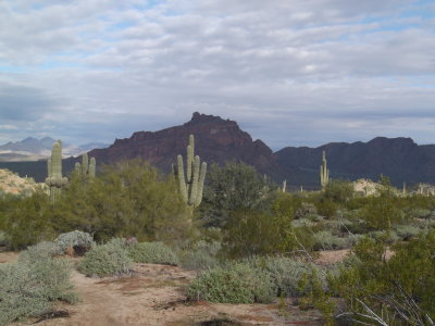 2015 01 12_Hike_0004.JPG