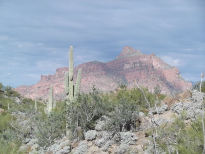 2015 01 12_Hike_0005.JPG