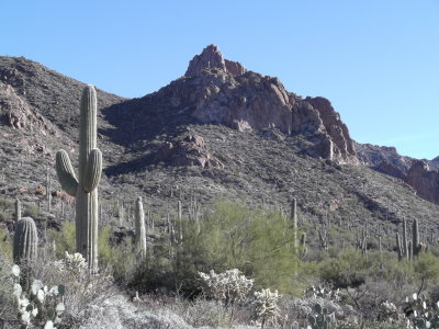2015 02 05_Hike_0002.JPG