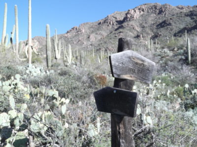 2015 02 05_Hike_0005.JPG