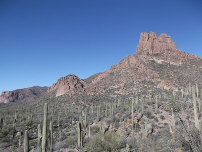2015 02 05_Hike_0007.JPG