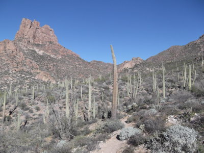 2015 02 05_Hike_0008.JPG