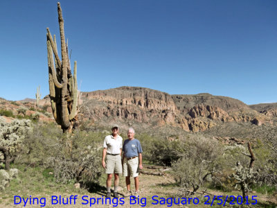 Bluff Springs - Big Saguaro 2/5/2015