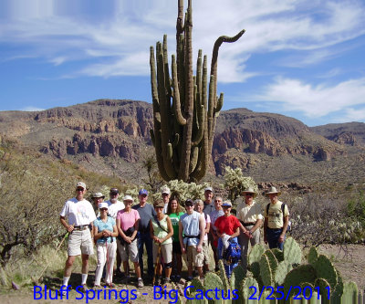 Bluff Springs - Big Cactus 2-25-2011.jpg