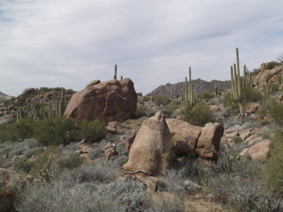 Granite Mountain Loop 2/20/2015