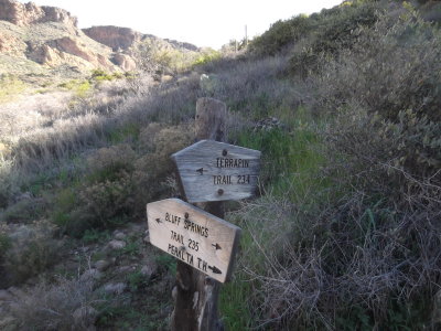 2015 02 26_Hike_0005.JPG